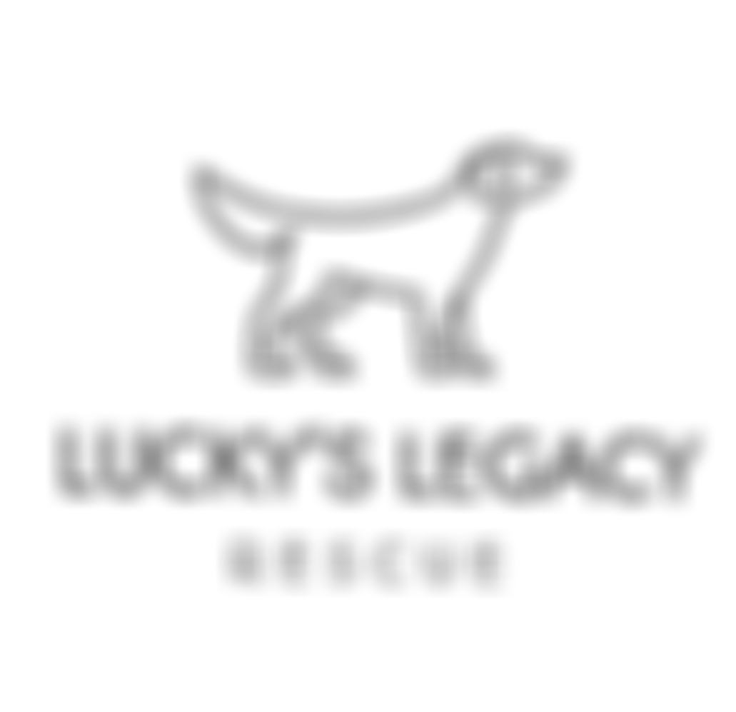 Lucky's Legacy Rescue | Charici