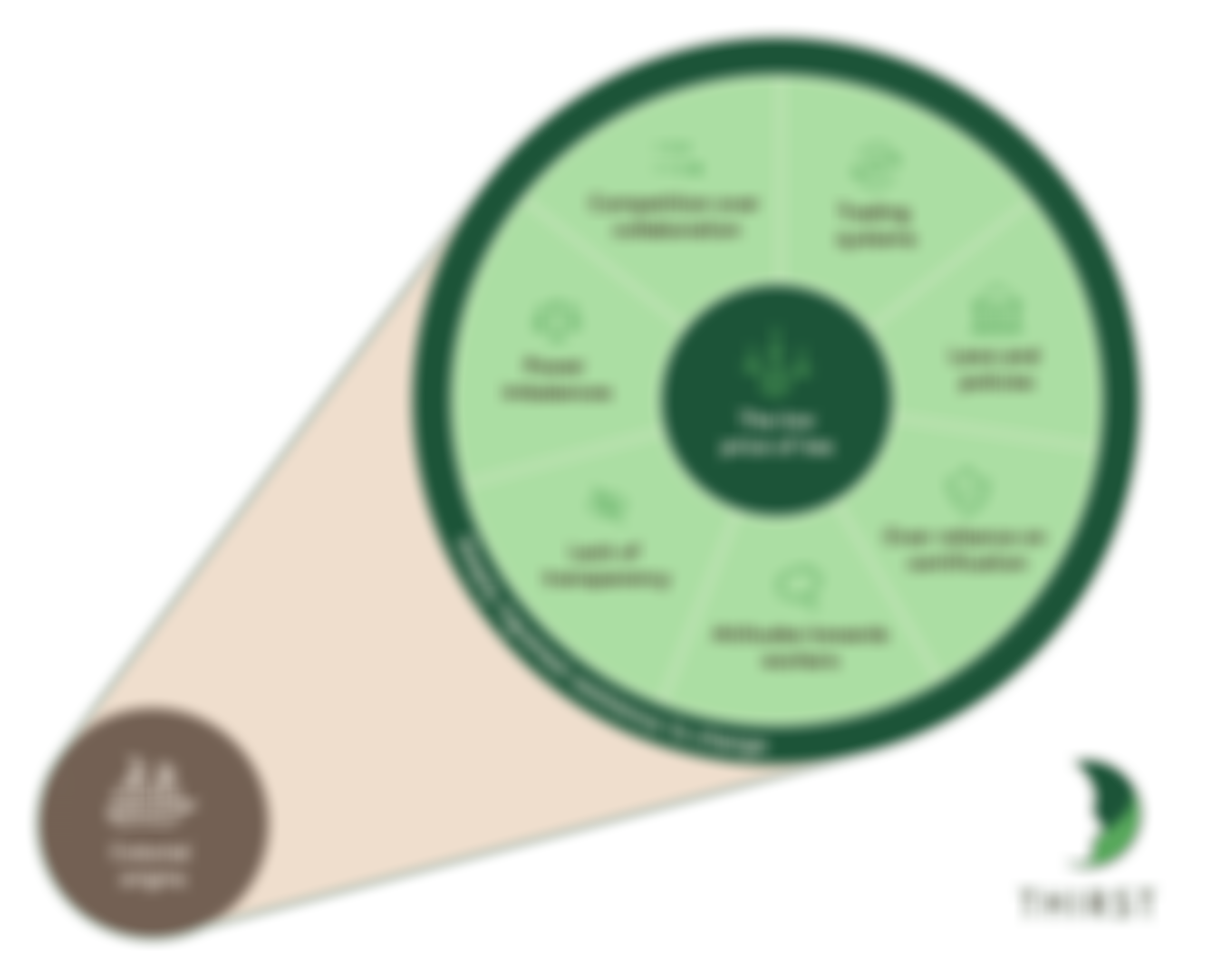 The International Roundtable For Sustainable Tea (Thirst) | Charici