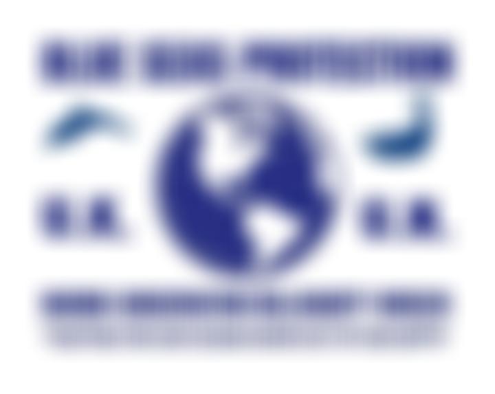 Blue Seas Protection | Charici