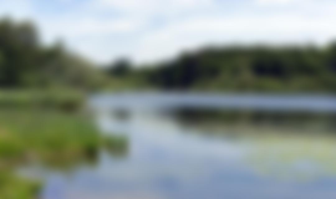 Sussex Green Living | Charici