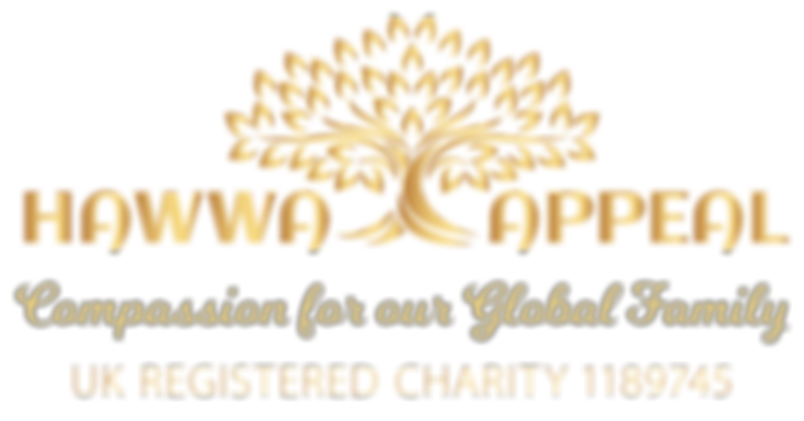 Hawwa Appeal | Charici