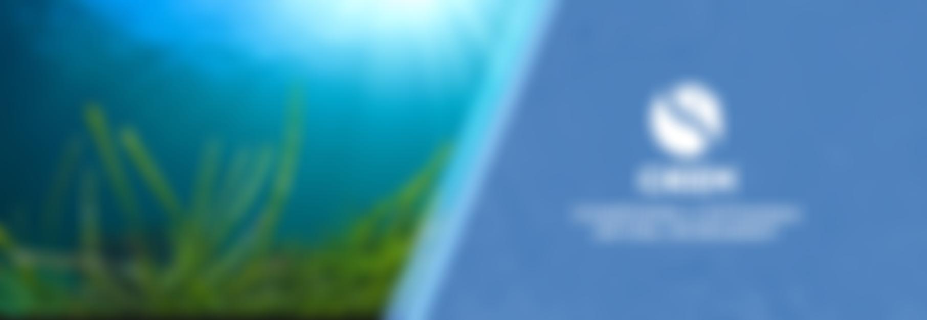 Chartered Institute Of Ecology And Environmental Management | Charici