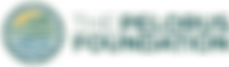 Pelorus Foundation | Charici