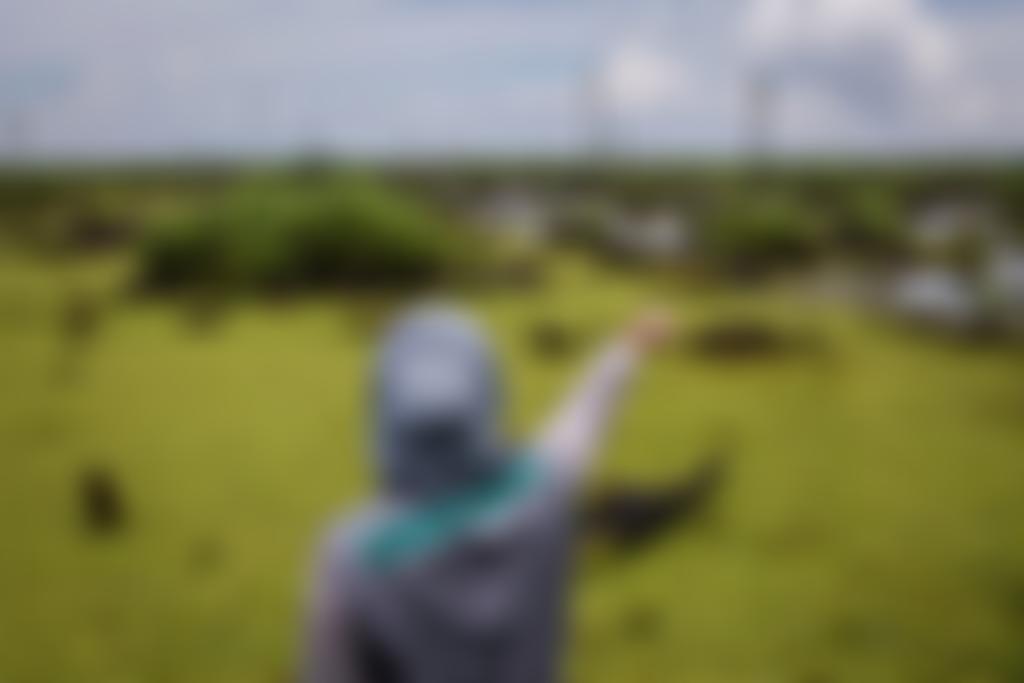 Greenpeace Environmental Trust | Charici