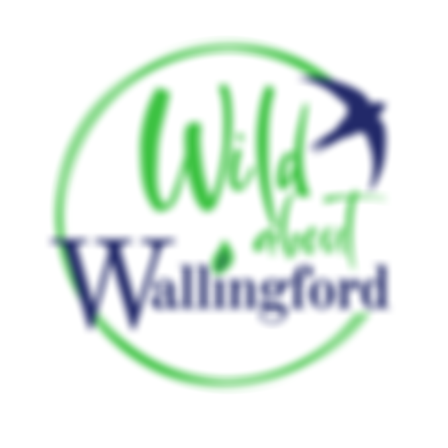 Friends Of Wallingford And Cholsey Green Spaces | Charici