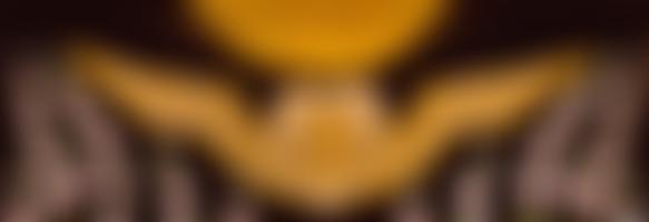 Inayatiyya Global | Charici