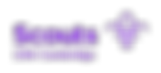 13Th Cambridge Scout Group | Charici