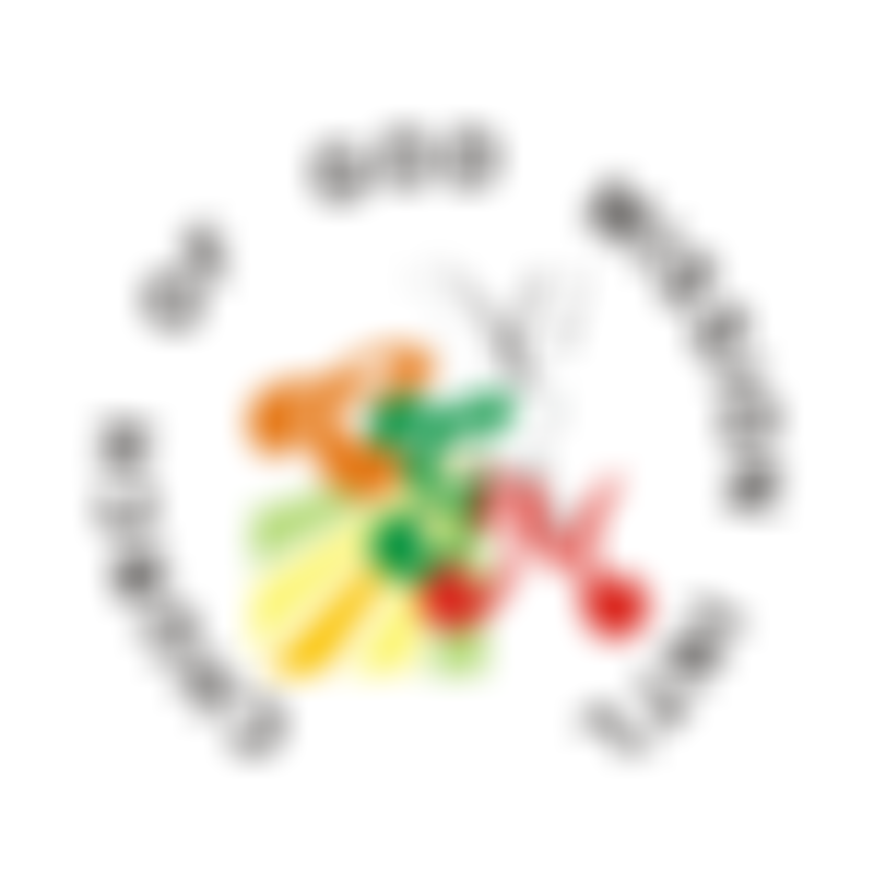 Church Of God Mission International (Dagenham) | Charici