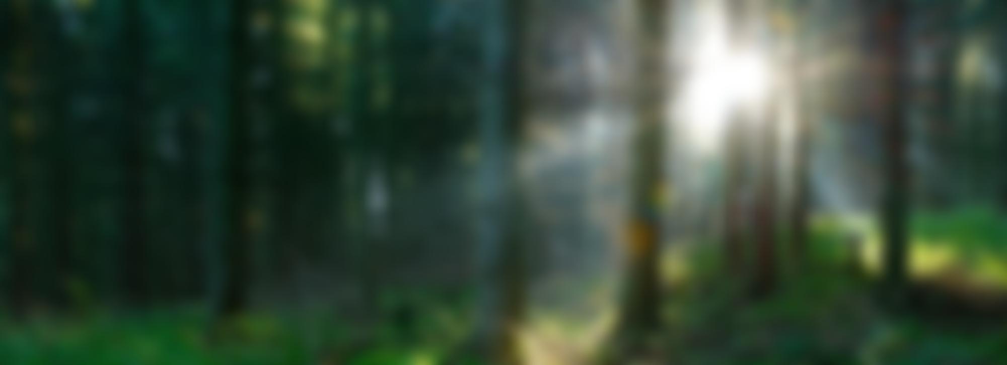 Ray Of Light Cancer Support | Charici