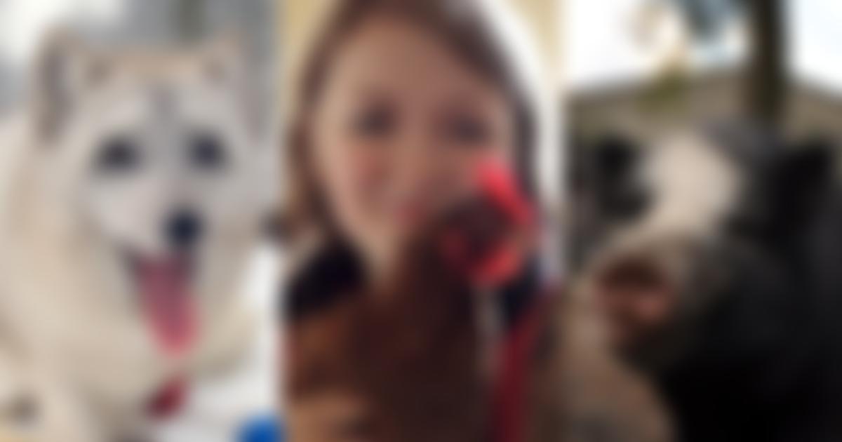 Open Cages Advocacy Ltd | Charici