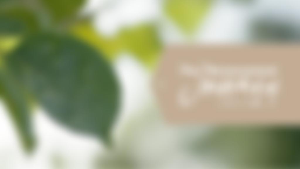 Sutton Bonington Baptist Church | Charici