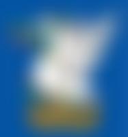 Orleans Primary School Foundation | Charici