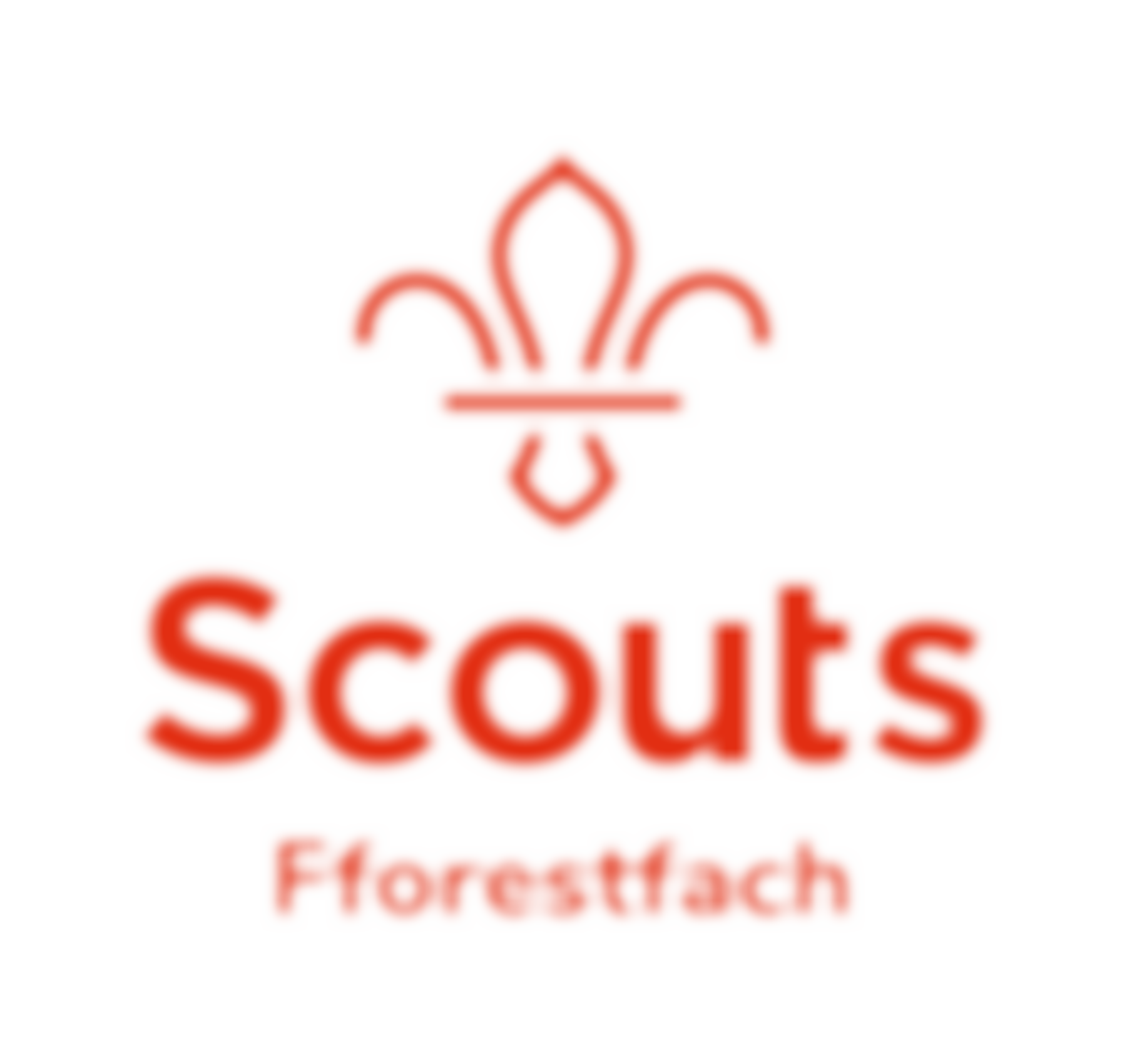 Fforestfach Scout Group | Charici