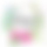 The Magic Cottage | Charici