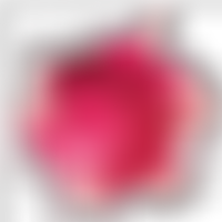 Freedom Church Waddington | Charici