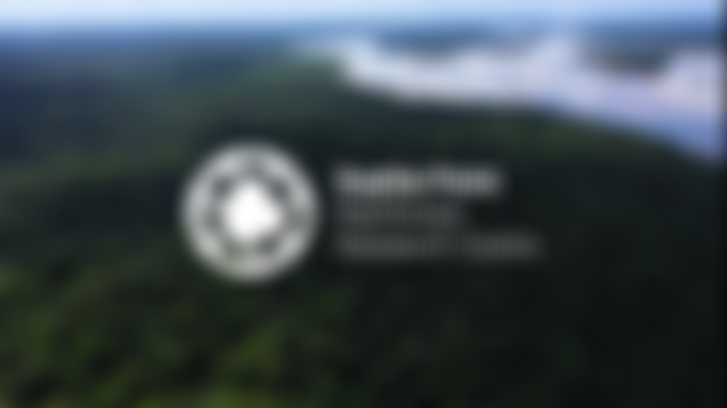 Sophia Point Rainforest Project | Charici