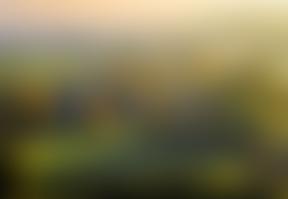 West Peckham Village Hall Charitable Incorporated Organisation | Charici