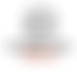 The Potter's House Christian Fellowship UK Sheffield Church | Charici