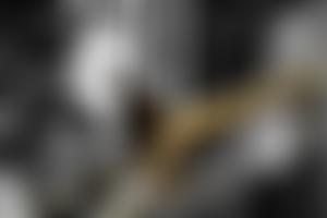 Barnsley Brass | Charici