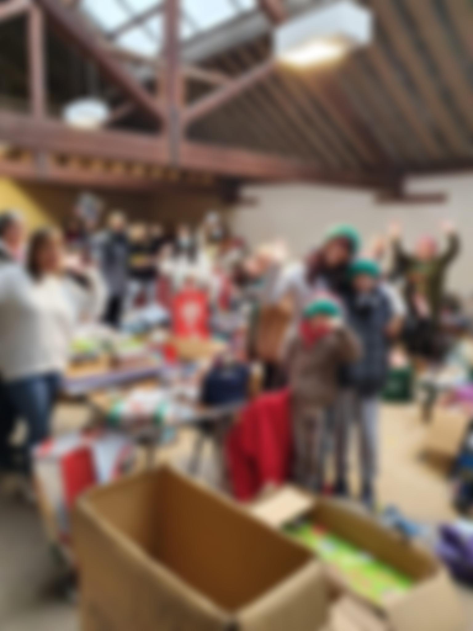 North Essex Support Team (N.e.s.t) | Charici