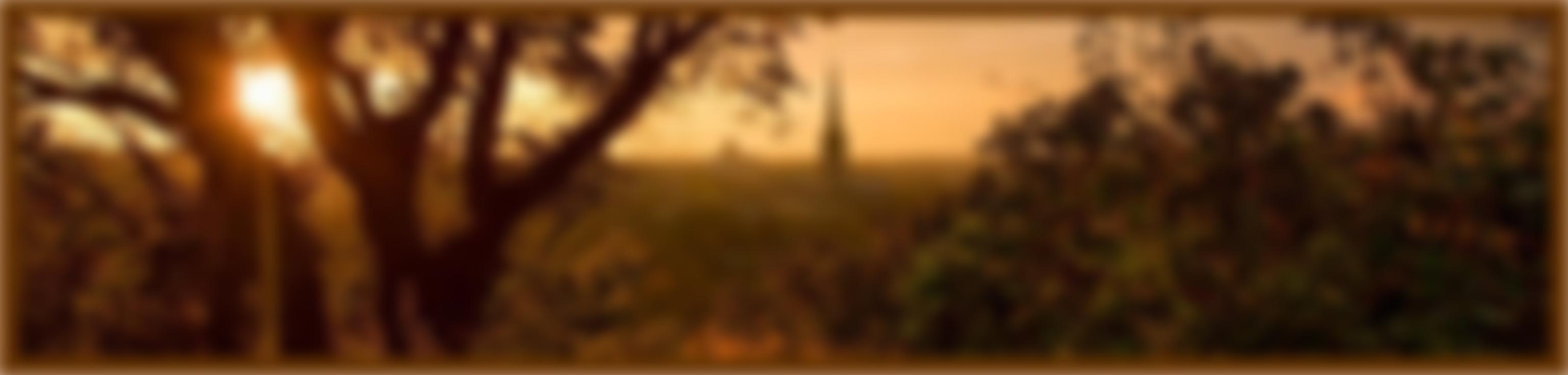 The Friends Of Kett's Heights | Charici