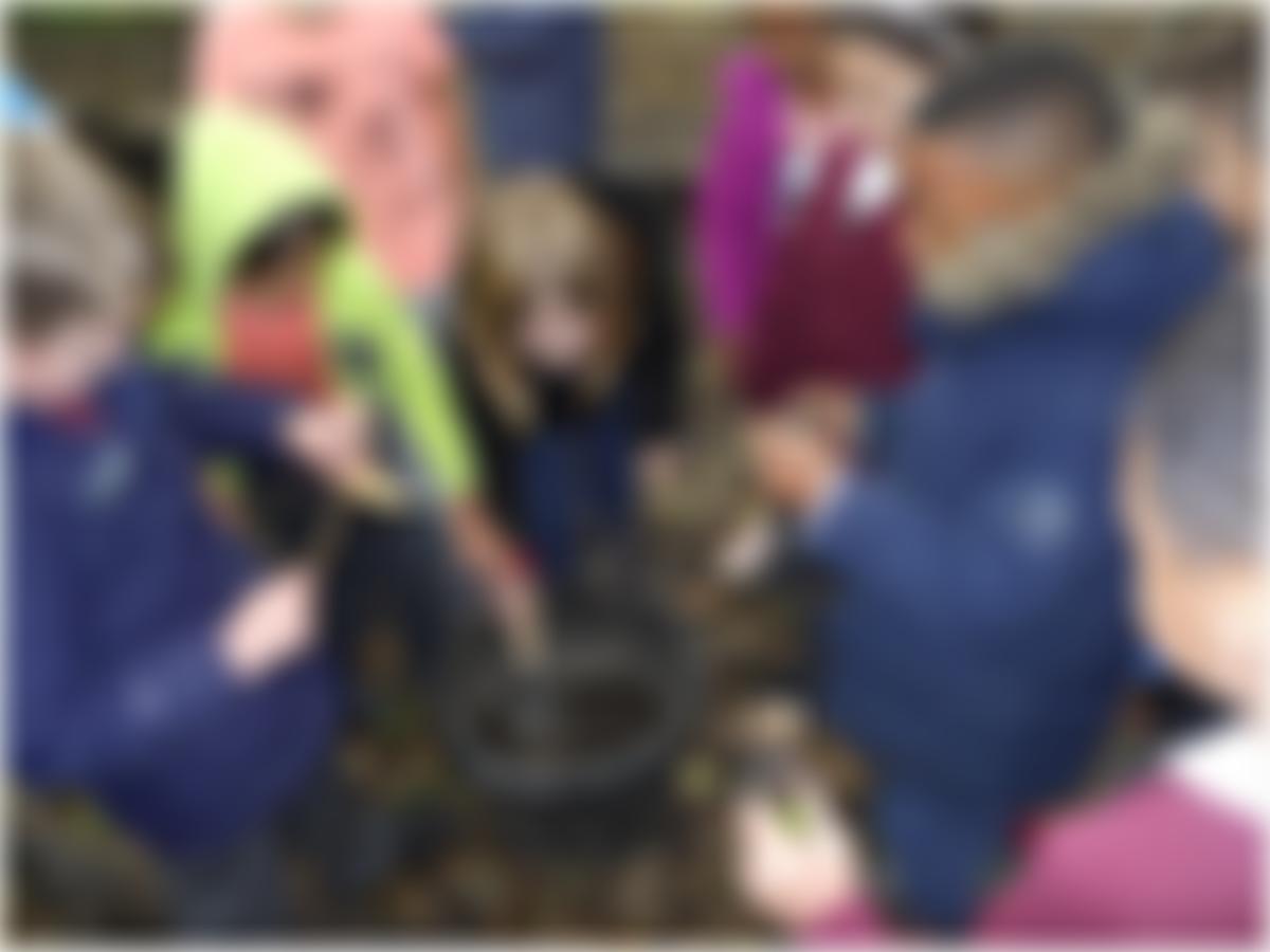 St Paul's School Association | Charici