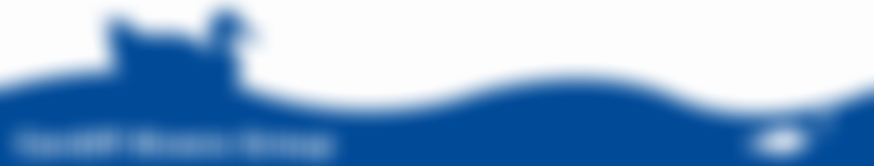 Cardiff Rivers Group | Charici