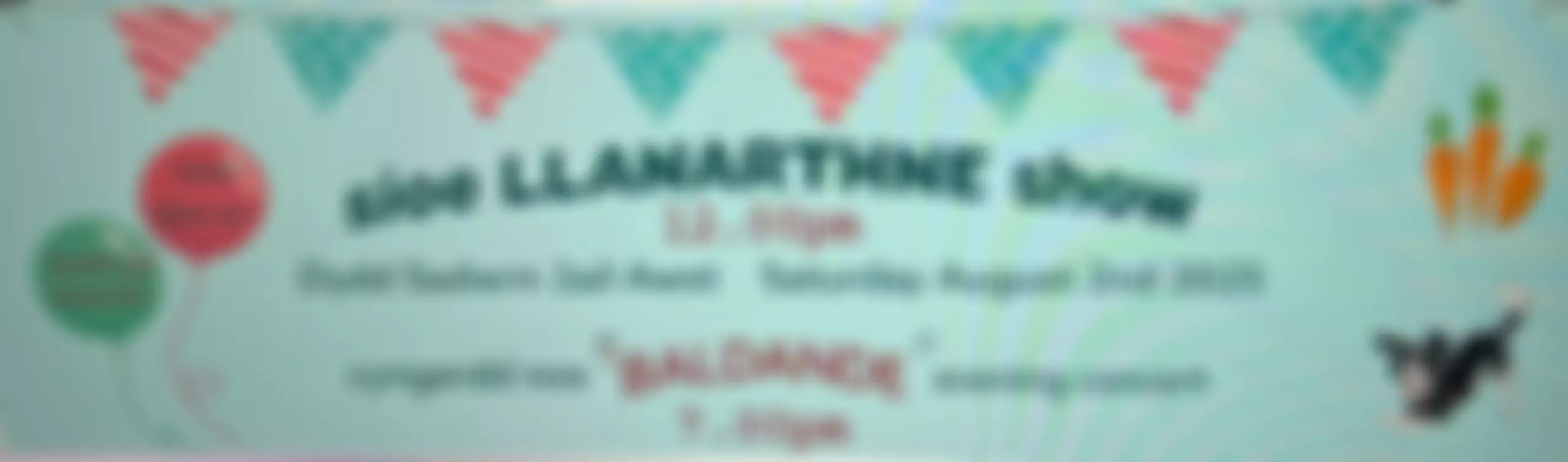 Llanarthne New Village Hall | Charici