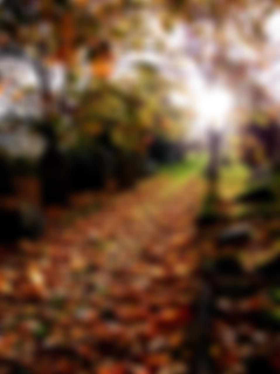 Teignmouth Old Cemetery | Charici