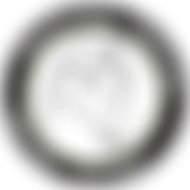 North Wales Horse Watch | Charici