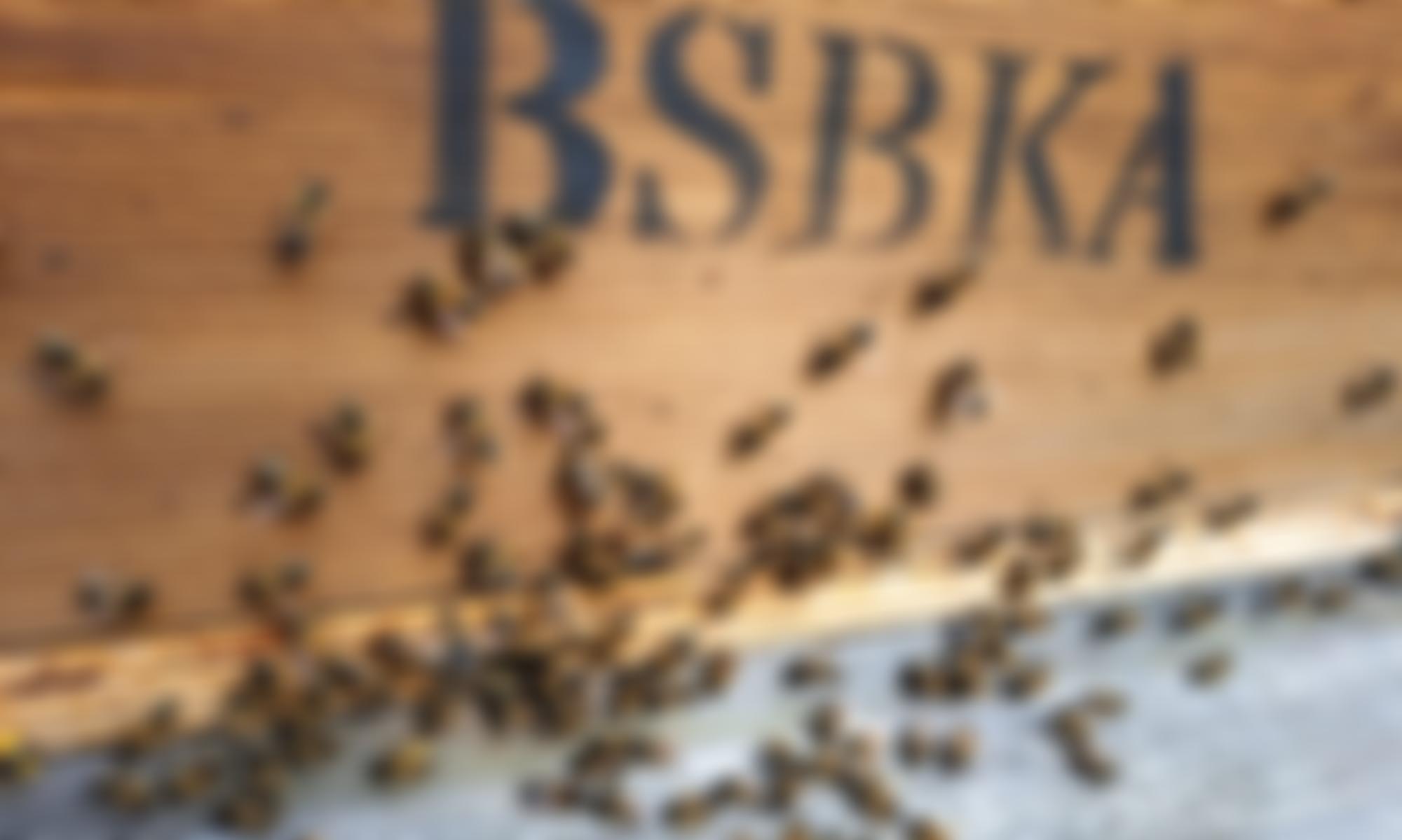 Bishop's Stortford Beekeepers Association | Charici