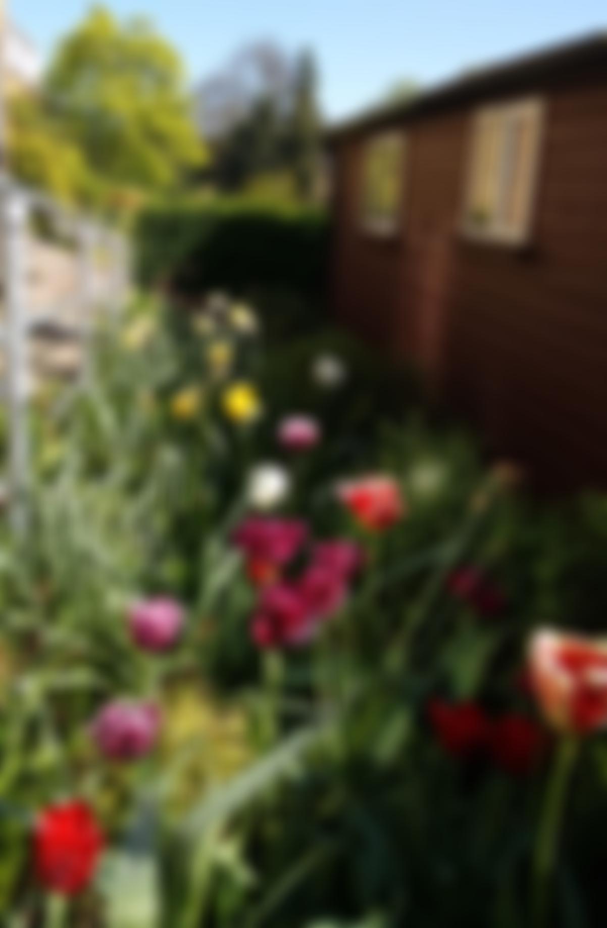 Honor Oak Christian Fellowship | Charici