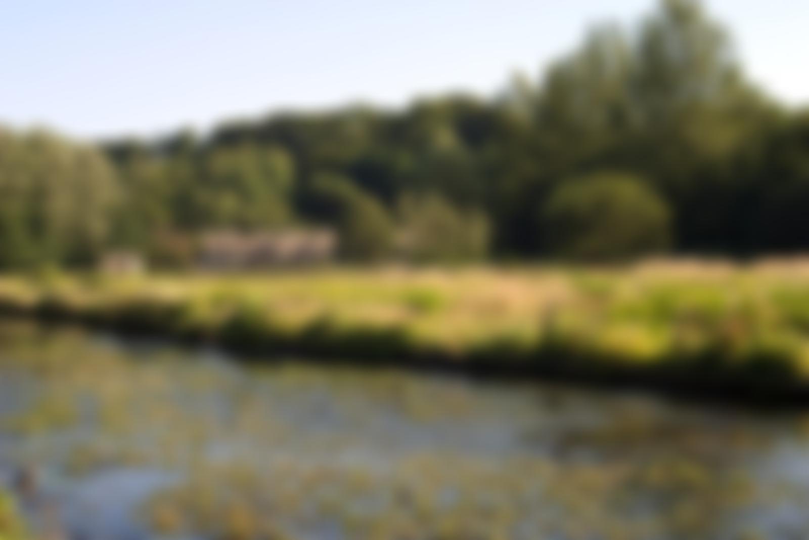 Arlington Baptist Church | Charici