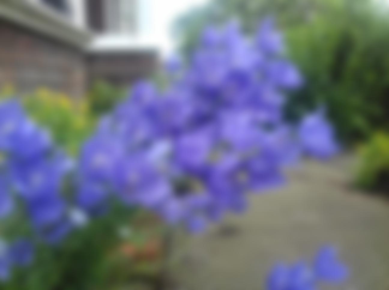 The Dell Cherian Charity | Charici