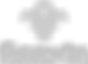 Tir A Mor District Scout Council | Charici