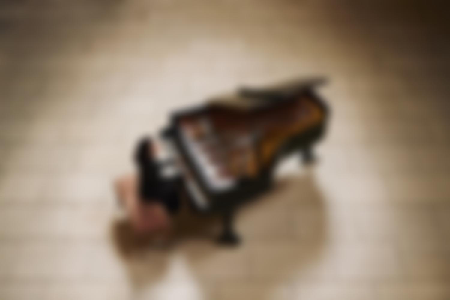 Hastings International Piano | Charici