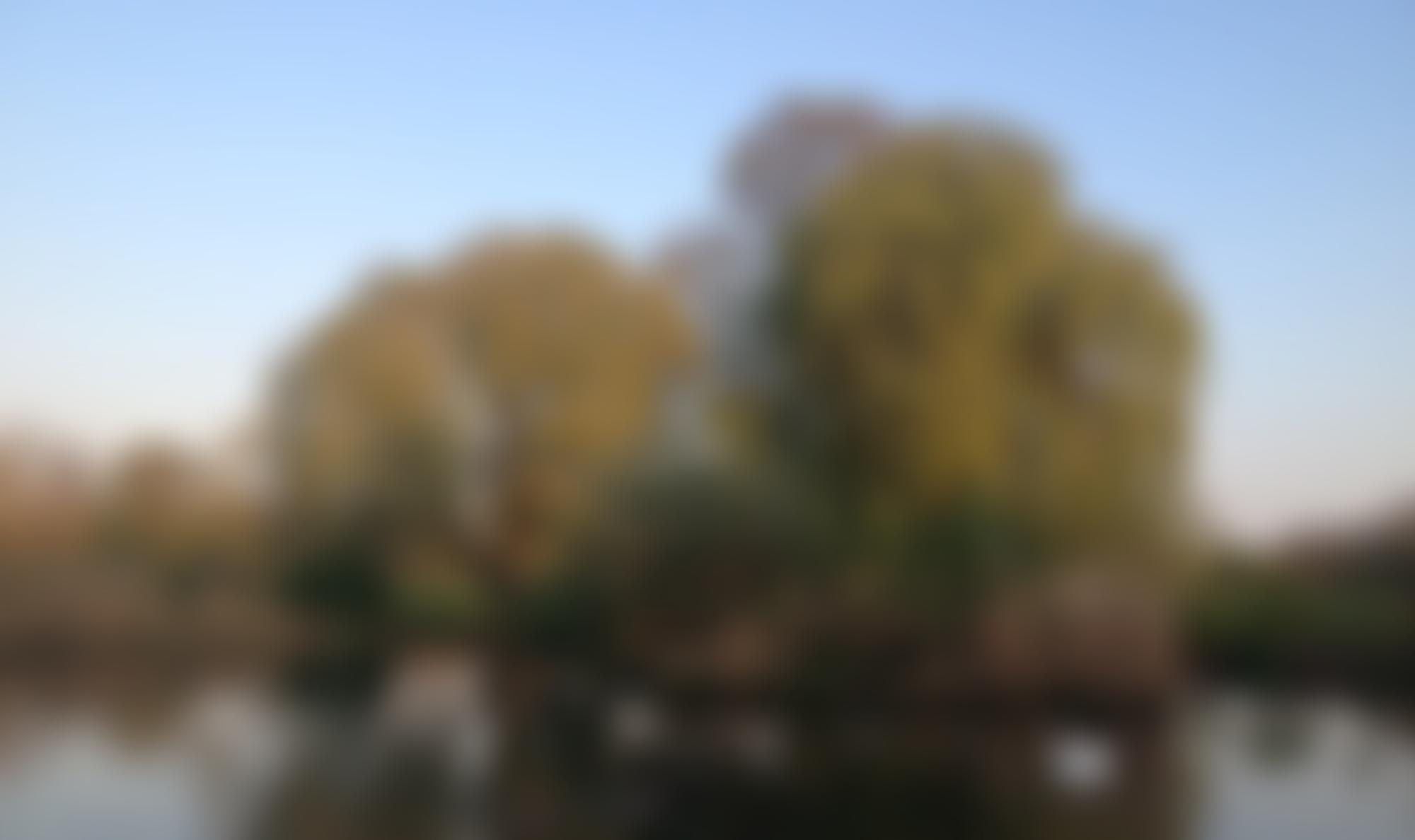 Ham And Petersham Association And Amenities Group | Charici