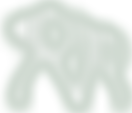 Pan Verus Project | Charici