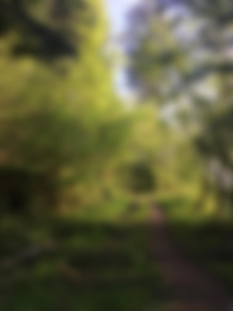 Friends Of Mortimer Forest Limited | Charici