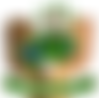 Kenmore Park Junior School Contingency Account | Charici