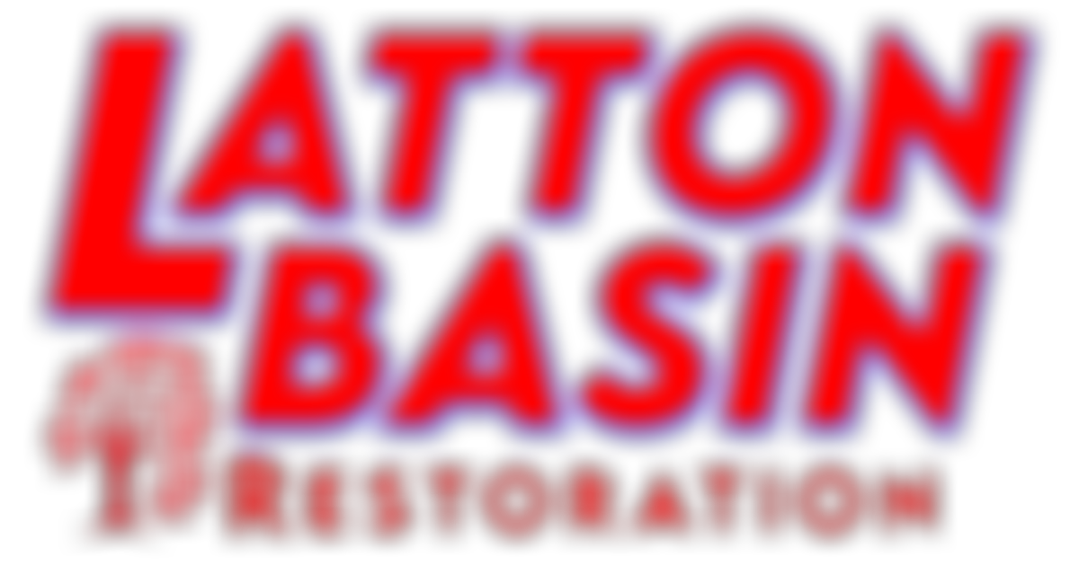 Latton Basin Restoration | Charici