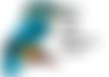 Dove Valley Community Project | Charici