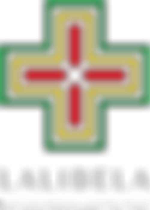 Lalibela New Life Medical Centre Trust | Charici