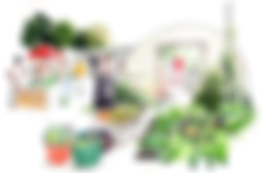 Bandstand Beds Association | Charici