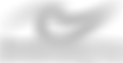 Branksome Chine Surf Life Saving Club | Charici