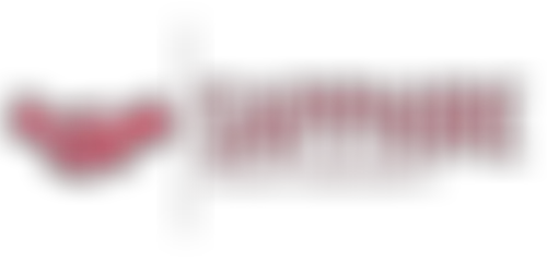 The Sapphire Employability And Wellbeing Academy | Charici