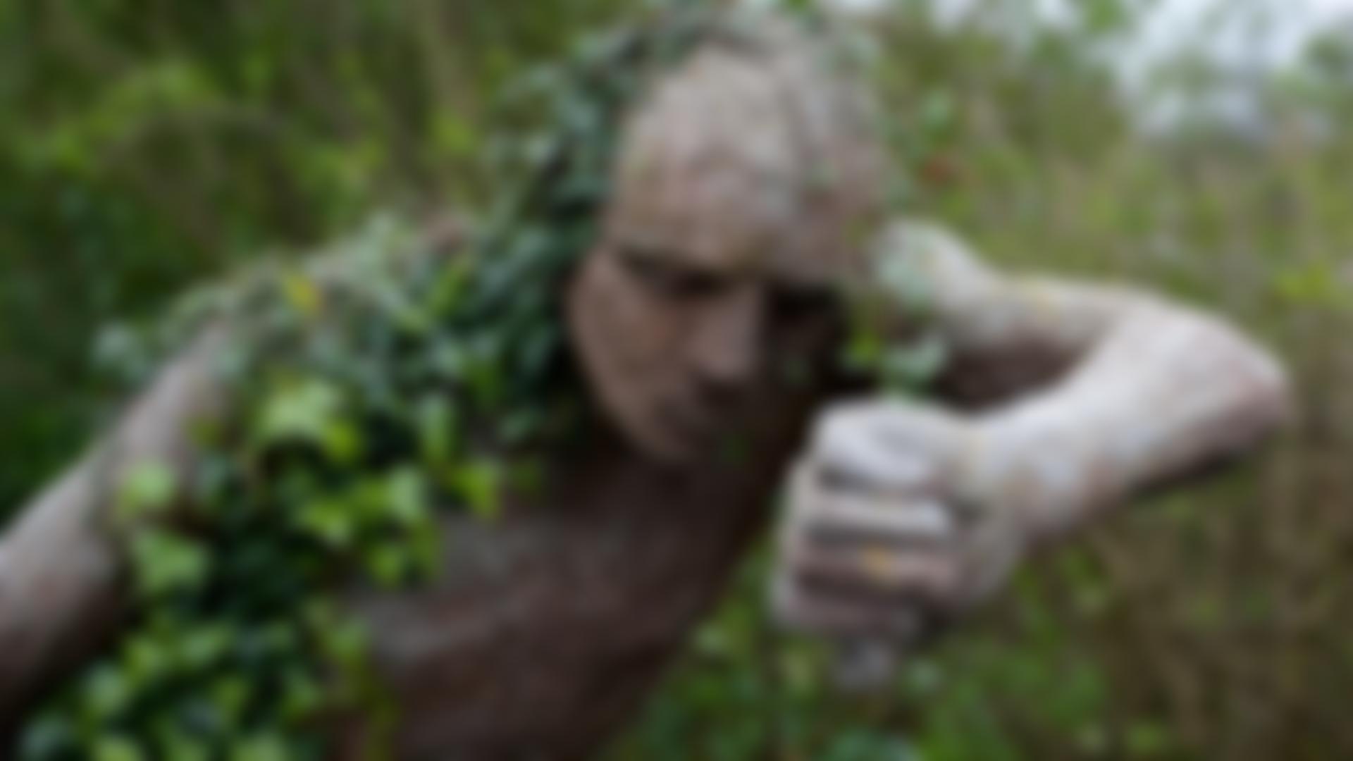 Sandy Hill Studios Trust Cio | Charici