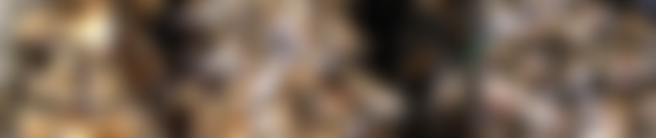 The North Hertfordshire Beekeepers Association [Cio] | Charici