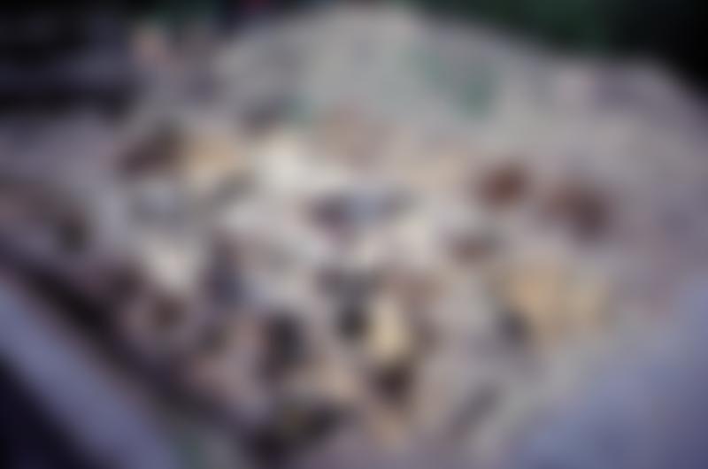 Ipswich Archaeological Trust | Charici