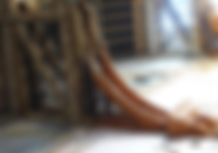 Wisbech Corn Exchange Conservation Trust | Charici